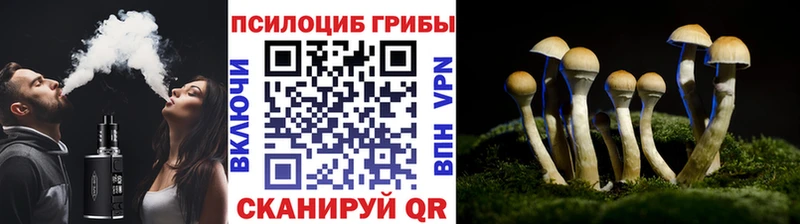 купить закладку Новочебоксарск Псилоцибиновые грибы мухоморы